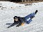 image00039