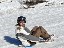 image00042