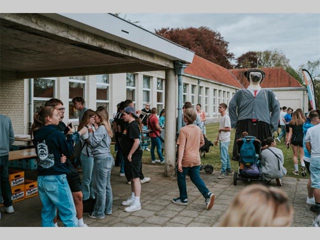 6-