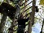 image00003