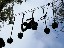 image00008