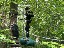 image00011
