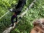 image00014