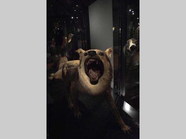 655934977_1554791689983056_