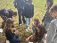 IMG-20260825-WA0011